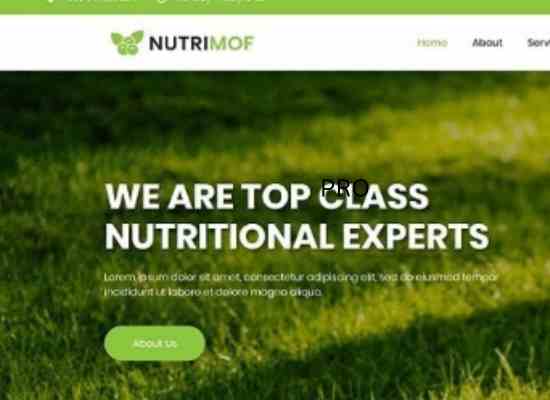 Nutrimof – Nutritional & Health WordPress Theme