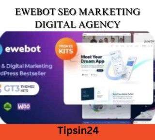 Ewebot SEO Marketing Digital Agency