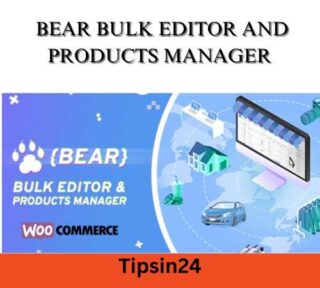 BEAR Bulk Editor and Products Manager