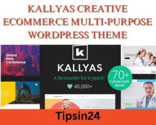 KALLYAS Creative eCommerce Multi-Purpose WordPress Theme