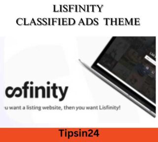 Lisfinity Classified Ads Theme