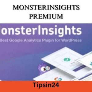 MonsterInsights Google Analytics