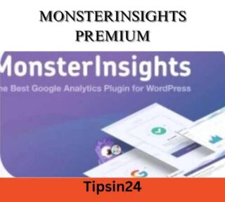 MonsterInsights Google Analytics