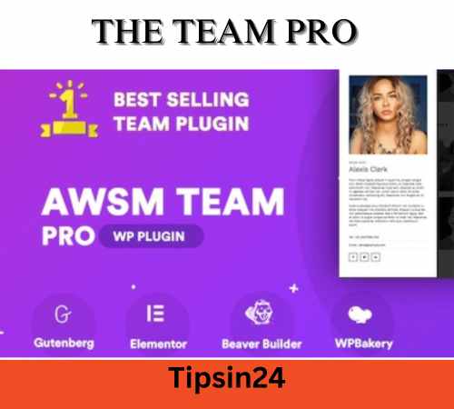 The Team Pro Plugin