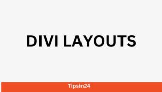 Divi Theme Layouts