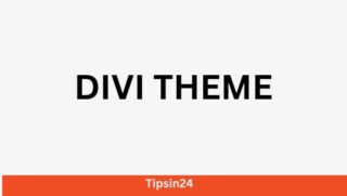 Divi theme